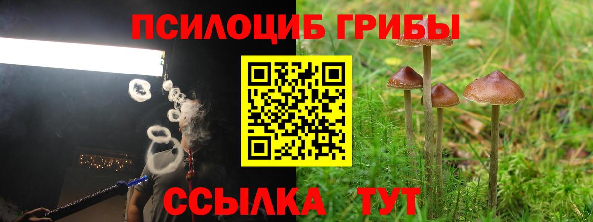 Псилоцибиновые грибы ЛСД  Вход с VPN  Юрга 